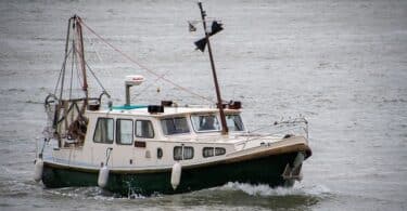 Melhores barcos NX Boats